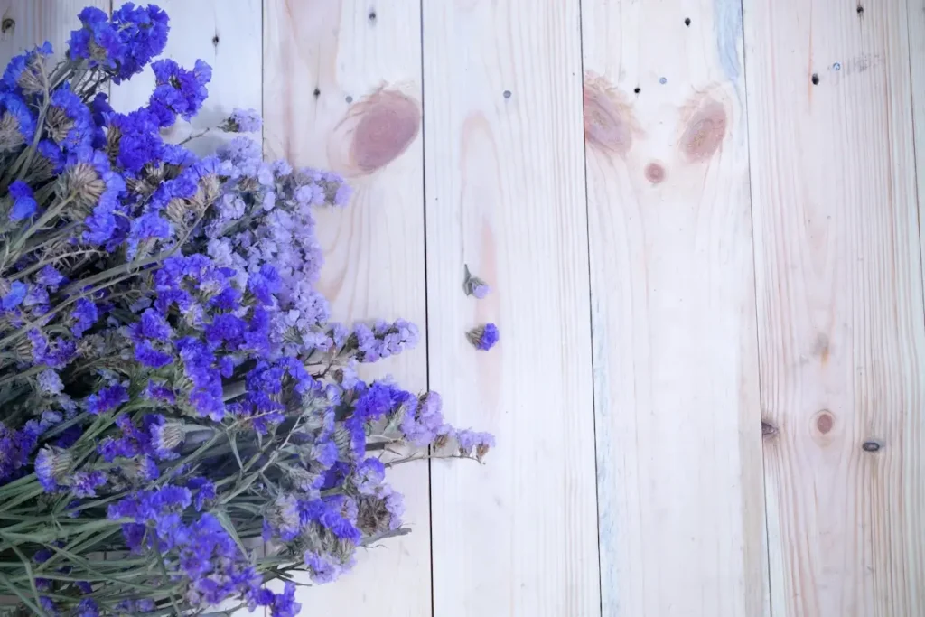 quelles fleurs offrir pour une naissance ?